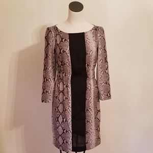 Zara Color Block Black & Python Snake Print Dress